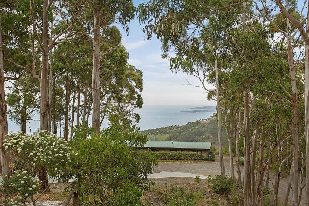 Beacon Point Ocean View Villas Skenes Creek Esterno foto